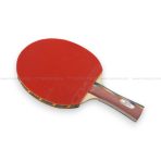 9A-C Double Fish Professional Table Tennis Racket – Long Handle - Image 4